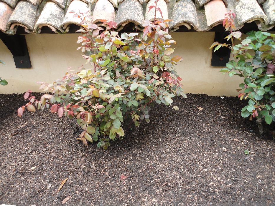 15 Cubic Yards Delivery Only - Pro Mulching Redwood City